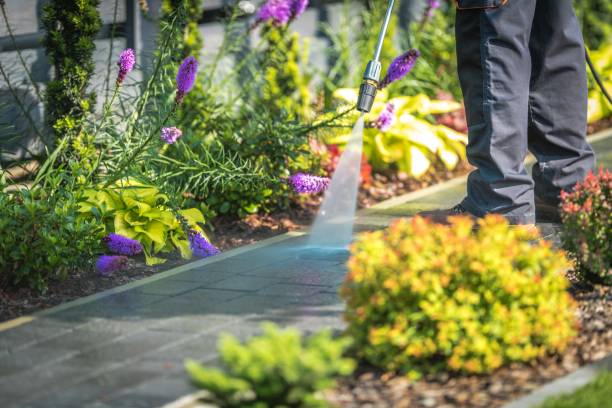 Professional Pressure Washing Services in Munday, TX